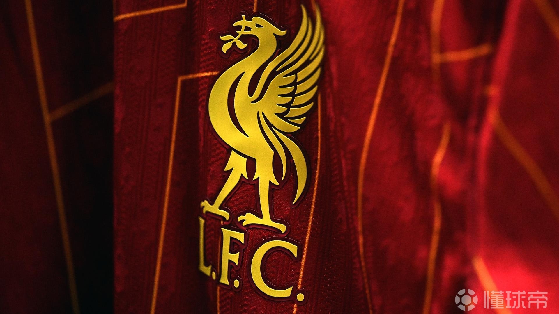 这大坏蛋！海港队庆祝夺冠时，蒋光太扒掉了古斯塔沃的裤子（庆冠夜笑翻场：海港队庆祝时，蒋光太恶作剧拉下古斯塔沃的球裤）